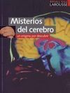 MISTERIOS DEL CEREBRO