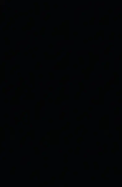 El Príncipe Negro