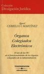 ÓRGANOS COLEGIADOS ELECTRÓNICOS