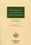 Desamparo y la Protección de los Menores Inmigrantes, el
