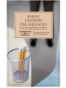 Asesor Gestión del Negocio