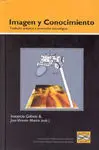 Imagen y Conocimiento:tradicion Artistica e Innovacion Tecno