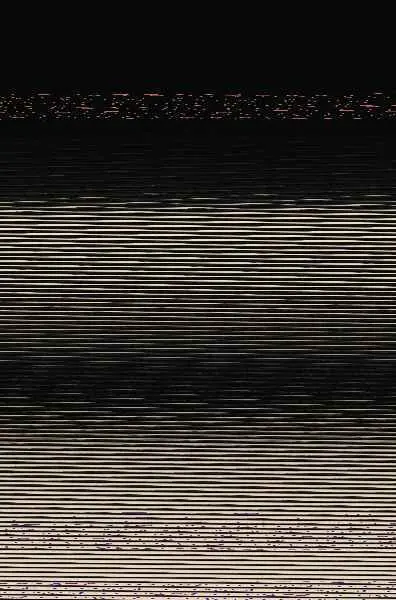 Tantas Razones para Decirte que no