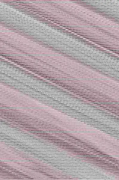 El Cuaderno de Paula