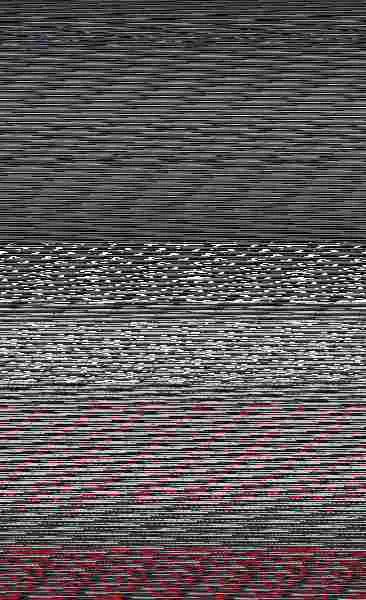 Amante Al Fin. La Hermandad de la Daga Negra Xi