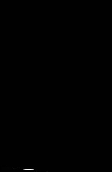 Viajo Sola
