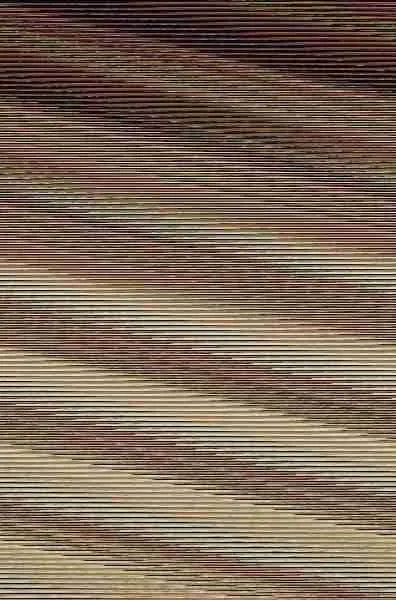 Inevitable Desastre Ed 2014