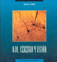 Ojo, Cerebro y Vision