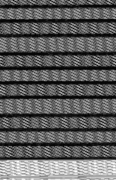 Microcosmos