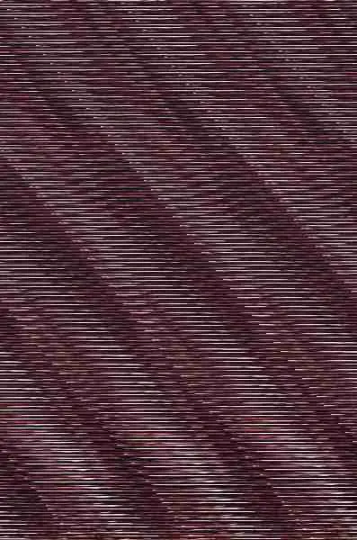 La Venus de las Pieles