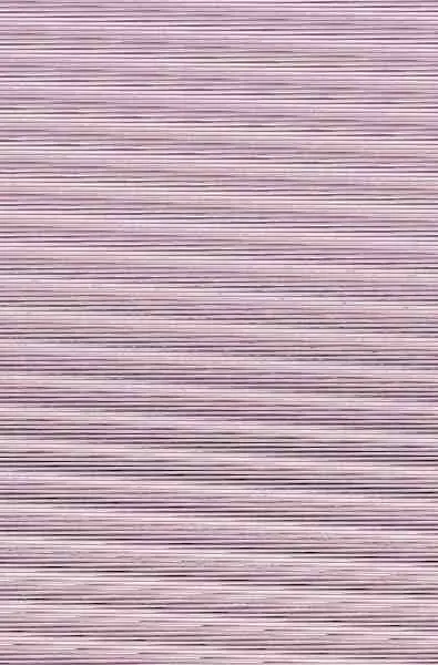 Vida de un Perfecto Seductor