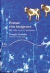 PENSAR CON IMÁGENES