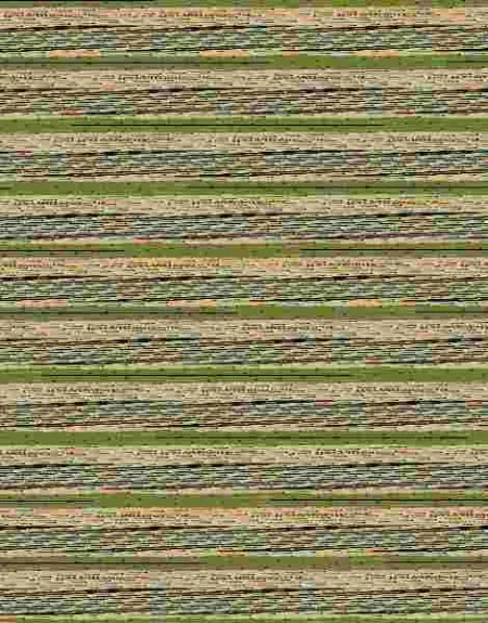 100 Jeroglíficos