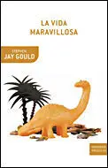 La Vida Maravillosa