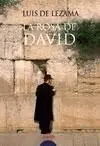 La Rosa de David