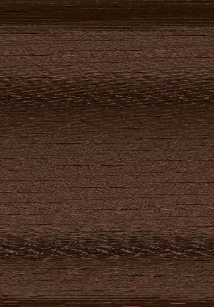 Los Diarios de Carrie