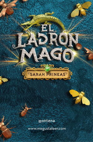 EL LADRÓN MAGO, III