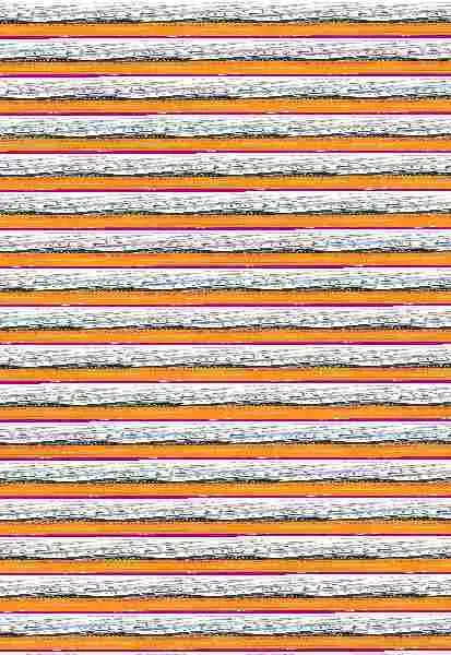 Mente en la Materia, la