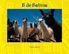 B DE BOLIVIA
