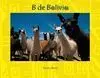 B de Bolivia