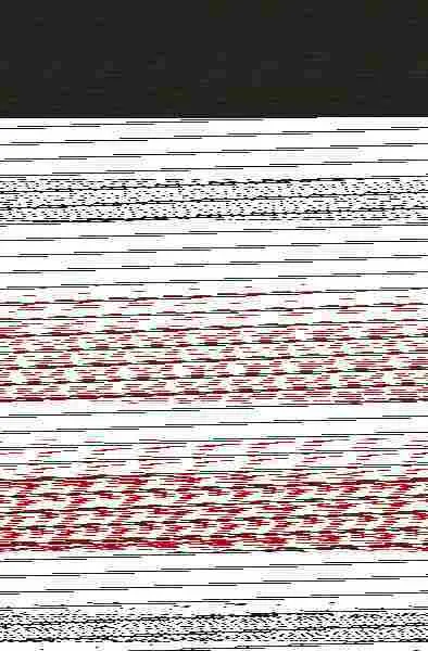 Más Allá de la Batalla