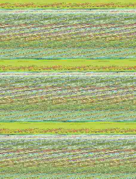 Janosch 5 Puzzles