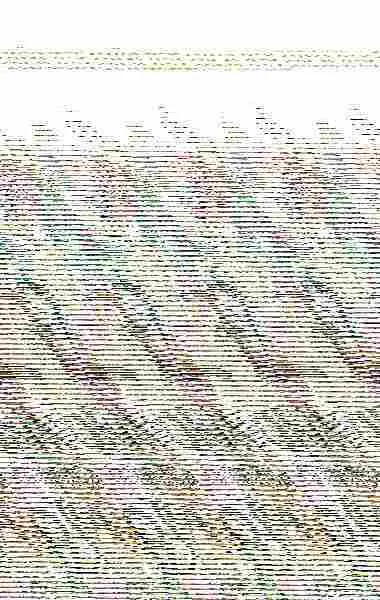 27 Historias para Tomar la Sopa