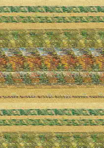 Agricultura Ecológica
