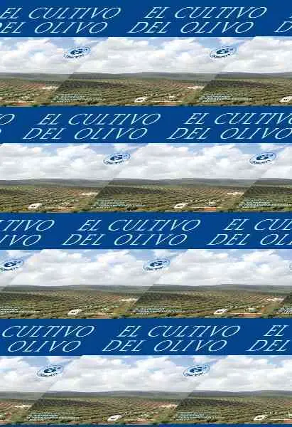El Cultivo del Olivo