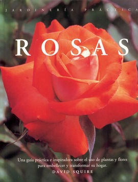 ROSAS.