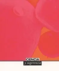 Ciencia y Sugerencia, una Experiencia Artística