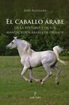 EL CABALLO ÁRABE