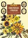 Flores Prensadas y Enmarcadas