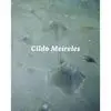 Cildo Meireles