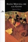 FOTO MOVIDA DE UN GATO