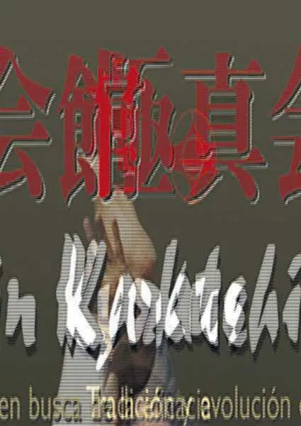 Kyokushin Karate