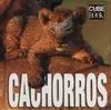 Cachorros