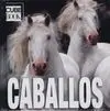 Caballos