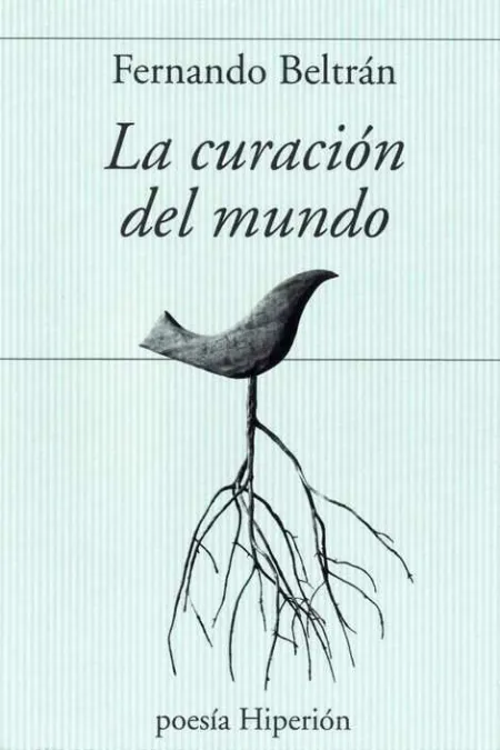 Curacion del Mundo, la