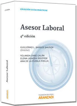 Asesor Laboral 2013