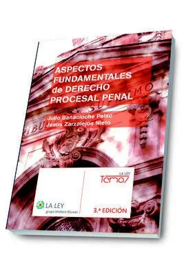Aspectos Fundamentales de Derecho Procesal Penal (3. ª Edición)