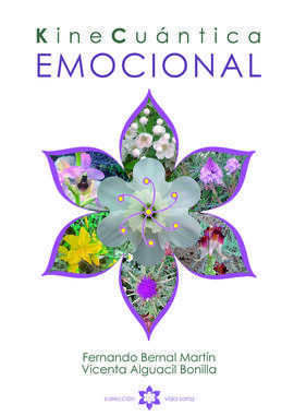 KINE CUANTICA EMOCIONAL