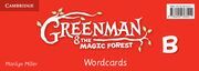 GREENMAN AND THE MAGIC FOREST B WORDCARDS (PACK OF 48)