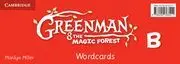 Greenman And The Magic Forest B Wordcards (Pack Of 48)