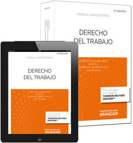 DERECHO DEL TRABAJO (PAPEL + E-BOOK)