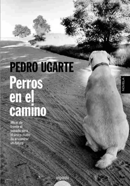 Perros en el Camino