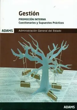 Cuestionarios. Gestion Promocion Interna 2016