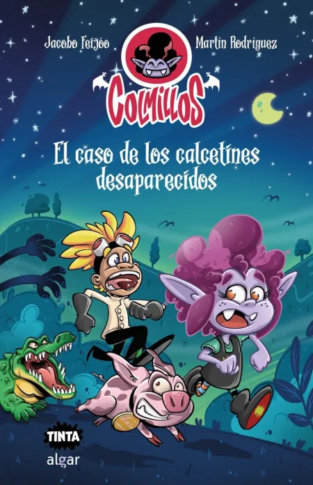 El Caso de los Calcetines Desaparecidos