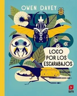 Loco por los Escarabajos