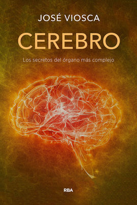 EL CEREBRO